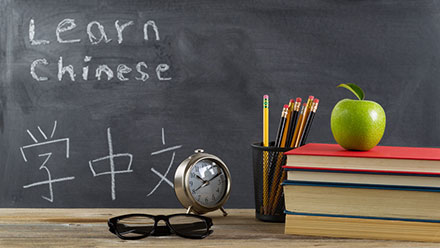Language Courses